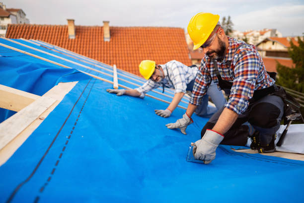 Best Storm Damage Roof Repair  in Troy, IL